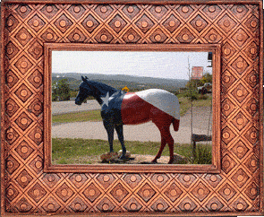 A Texas flag horse!