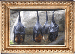 Hanging bats!