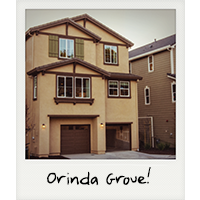 Orinda Grove!