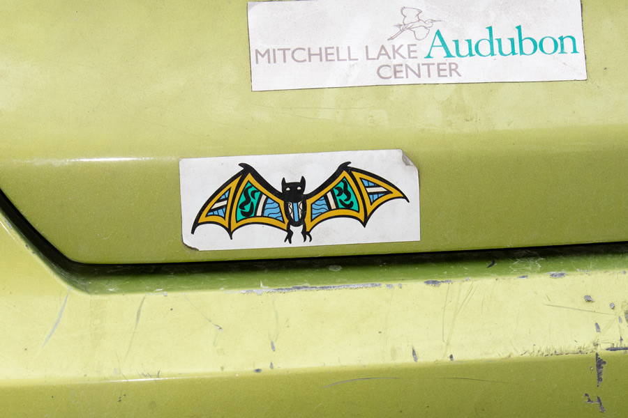 Bat sticker photo