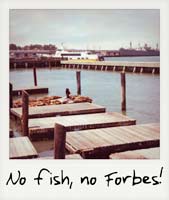 No fish, no Forbes!