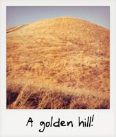 A golden hill!
