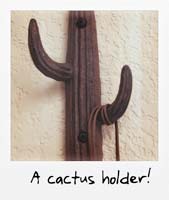 A cactus holder!