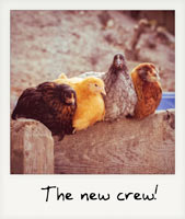 The new crew!