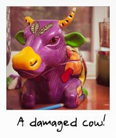 A damaged cow!