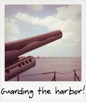 Guarding the harbor!