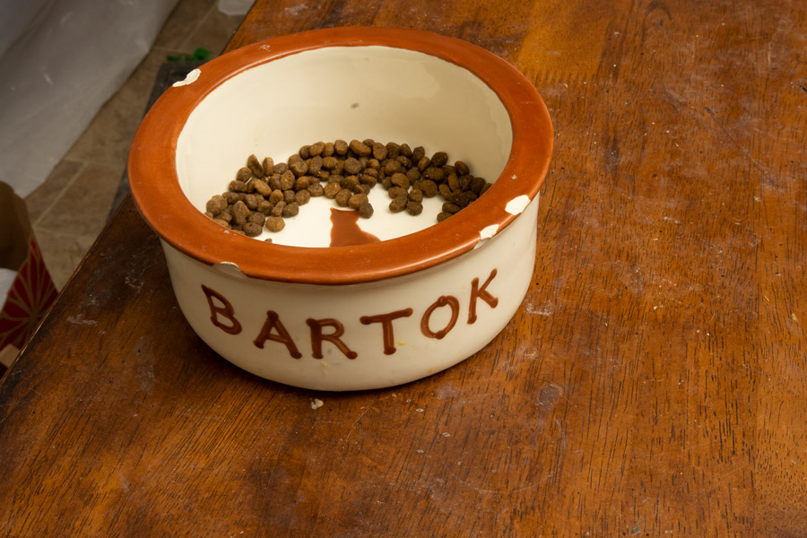 Bartok bowl photo