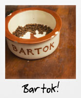 Bartok!