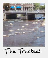 The Truckee!