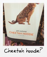 Cheetah hoodie!