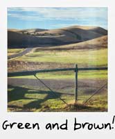 Brown and green!