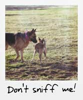 Don't sniff me!