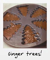 Ginger trees!