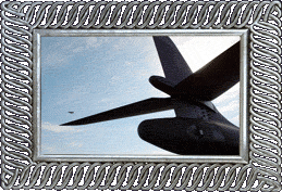 A fighter flyby! A fighter flyby!