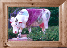 Miss Moola Attha Bank!