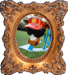 Forecowddie! Forecowddie!