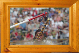 The purple knight scores a point!