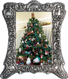 Our Christmas tree! Our Christmas tree!