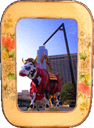 Vaca Pinata! Vaca Pinata!