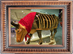 Texas Hillcountry Armoodilla!