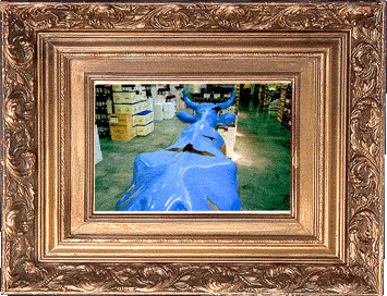 A Texas Wildlife closeup!