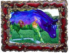 The Cow Jumped Over the Moon!