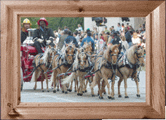 Miniature fire horses!