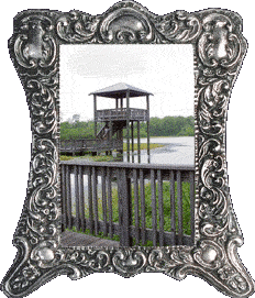 The White Lake observation tower! The White Lake observation tower!
