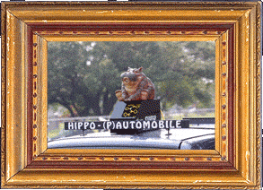 The Hippo-Pautomobile!