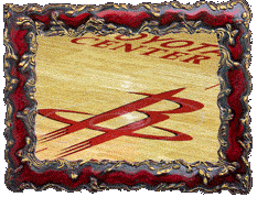 The new Rockets logo! The new Rockets logo!