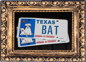 Texas BAT! Texas BAT!