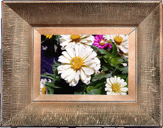 White flowers! White flowers!