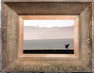 Drying off in the bay breeze!