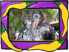 A troll self portrait!