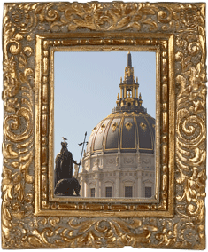 A statuesque seagull! A statuesque seagull!