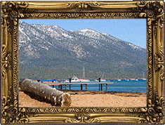 A Lake Tahoe log!