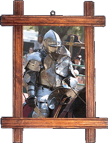 A knight in armor!
