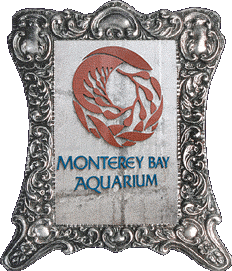 Monterey Bay Aquarium!