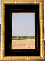 My walk-in closet view!