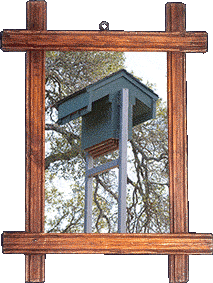 A bat house closeup!