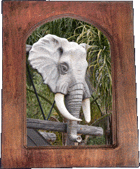 An elephant head! An elephant head!