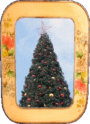 The Union Square Christmas tree!