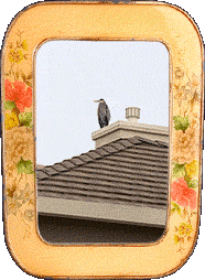 A heron on a house!