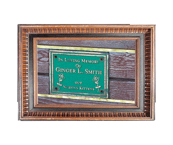 Out hunting kittens!