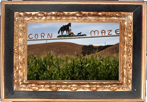 A corn maze! A corn maze!