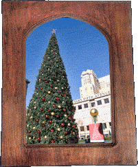 The Union Square Christmas tree!