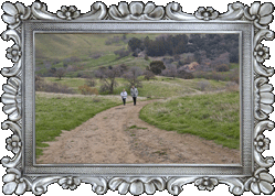 IMG_4178.gif IMG_4178.gif