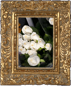 White roses! White roses!
