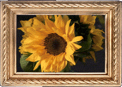 A sunflower! A sunflower!