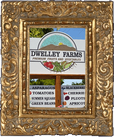 Dwelley Farms!